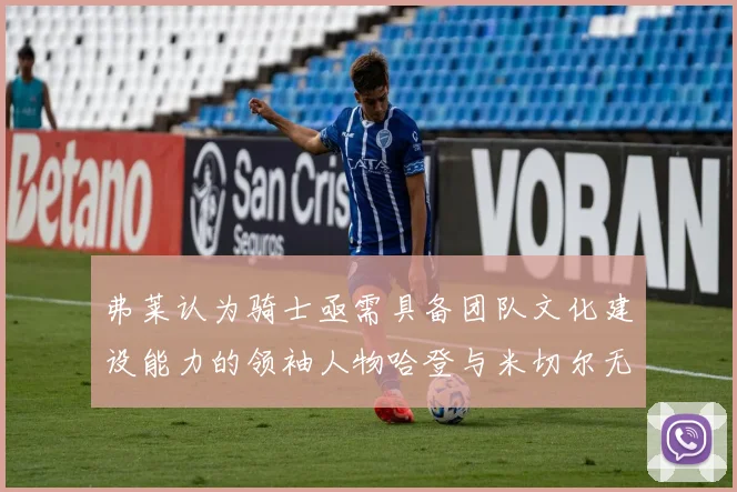 弗莱认为骑士亟需具备团队文化建设能力的领袖人物哈登与米切尔无法胜任
