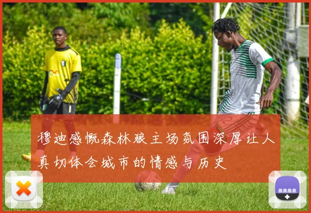 穆迪感慨森林狼主场氛围深厚让人真切体会城市的情感与历史